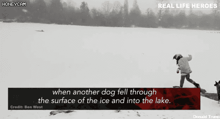 현실의 영웅들.gif - | 인스티즈