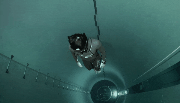 세계에서 가장 깊은 수영장 | 인스티즈