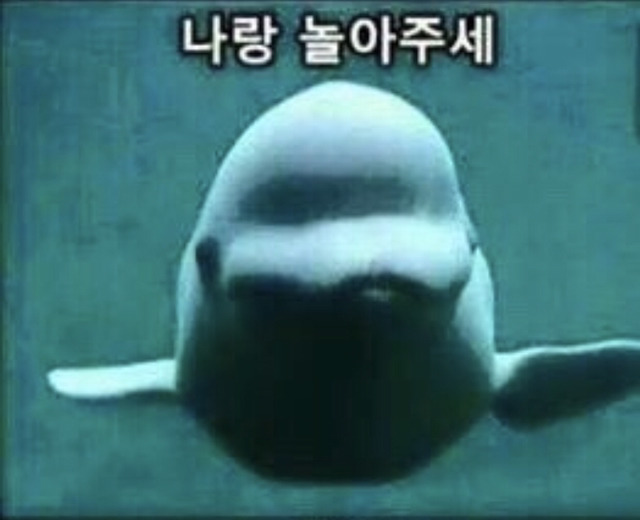 저기있잖아요... | 인스티즈