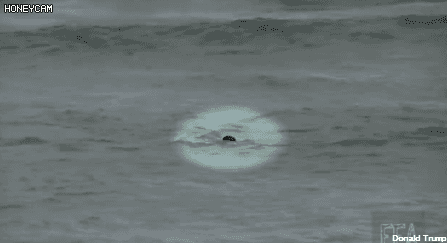 현실의 영웅들.gif - | 인스티즈