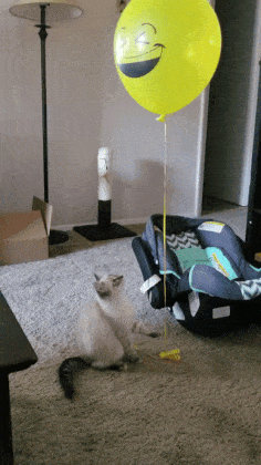 추석 아침엔 역시 | 인스티즈