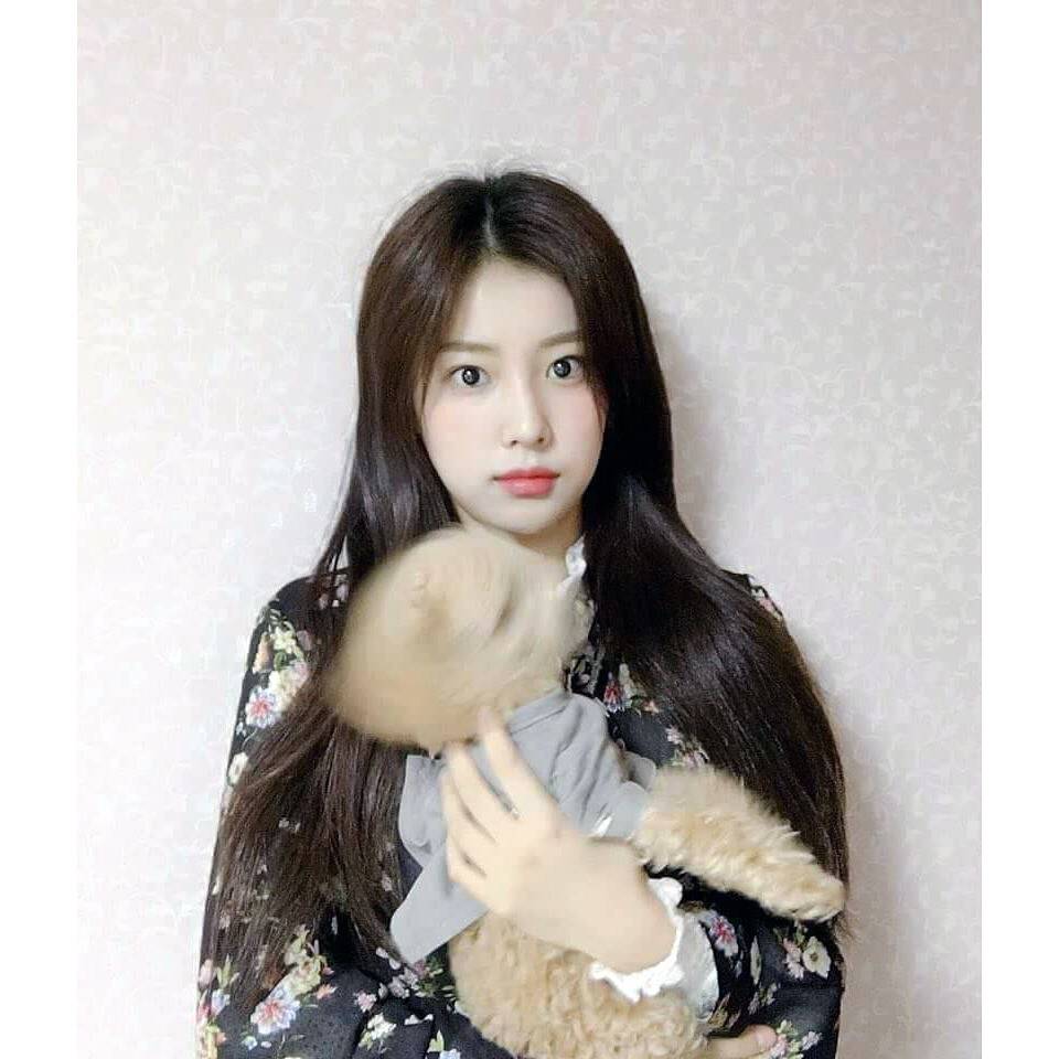 아이즈원 인스타그램 - 민주, 은비, 혜원.jpgif | 인스티즈