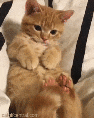 추석 아침엔 역시 | 인스티즈