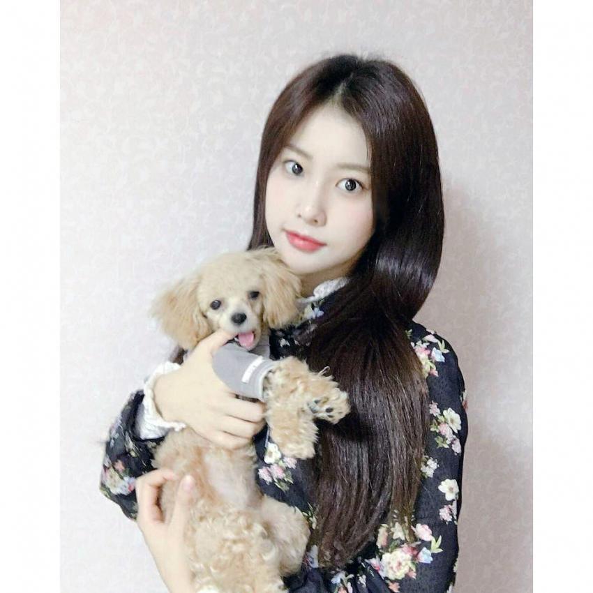 아이즈원 인스타그램 - 민주, 은비, 혜원.jpgif | 인스티즈