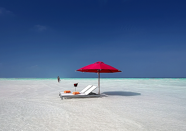 열심히 일한 당신 떠나라 | 인스티즈