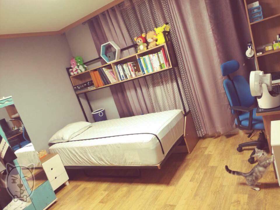 가구 옮기는걸 도와주는 뽀시래기 | 인스티즈