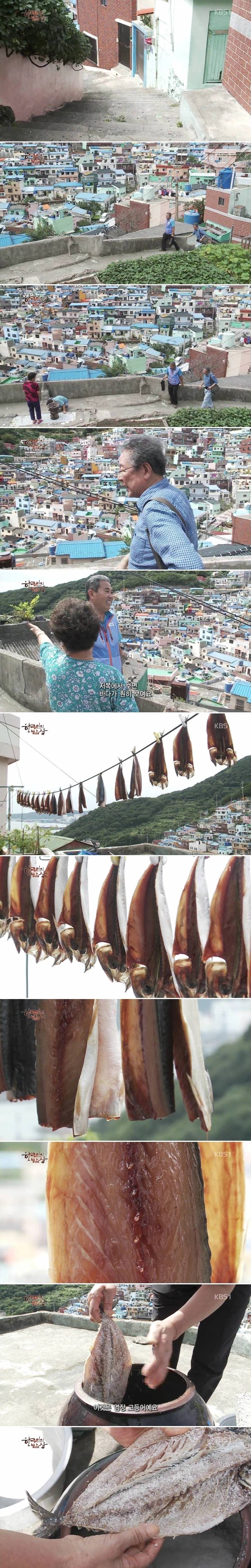 한국인의 밥상 고등어 요리 | 인스티즈