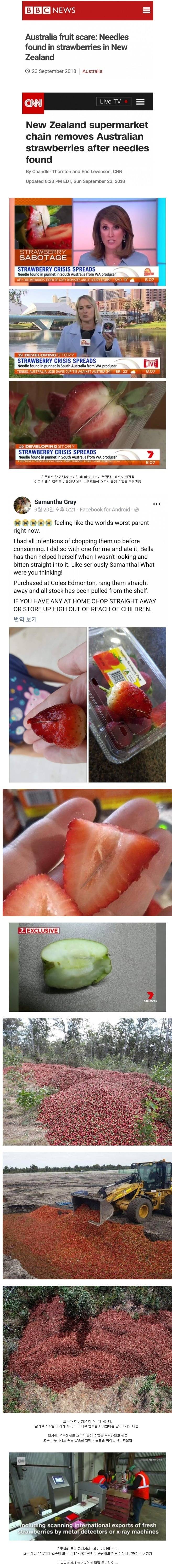 점점 더 심각해지고 있는 호주 바늘 테러 | 인스티즈