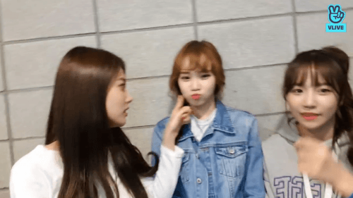 [아이즈원] 김채원 엄청귀여운 브이앱 움짤 | 인스티즈