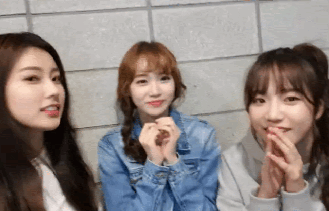 [아이즈원] 김채원 엄청귀여운 브이앱 움짤 | 인스티즈