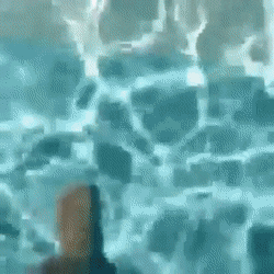 42층 유리바닥 수영장 실제 모습...gif | 인스티즈