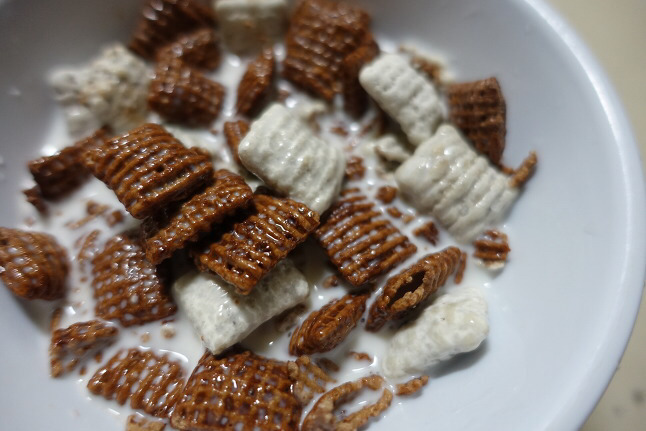 초코 시리얼 중 최고는? | 인스티즈