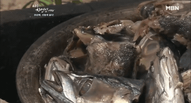 나는 자연인이다 레전드 | 인스티즈