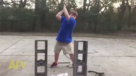 지상 최강의 나뭇가지.gif | 인스티즈