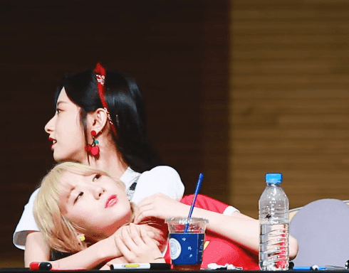 우주소녀 보나와 루다 | 인스티즈