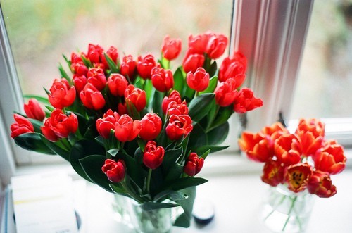  당신도 없이 나를 견딥니다 | 인스티즈