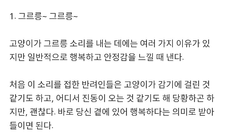 반려묘가 당신을 사랑하고 있다는 9가지 신호 | 인스티즈