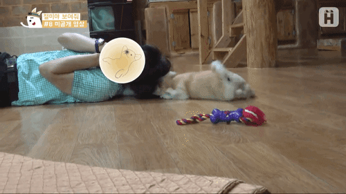 집 지키기는 힘들 거 같은 짱절미 | 인스티즈