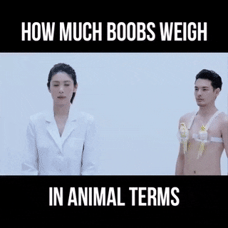 동물들로 알아보는 여성 가슴 무게.gif | 인스티즈