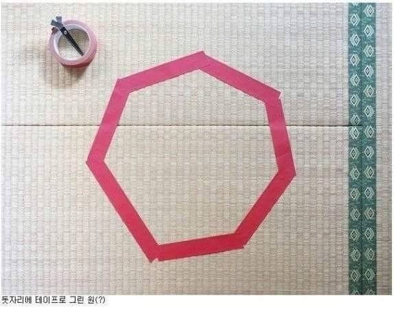 신기한 냥이 종특.jpg | 인스티즈