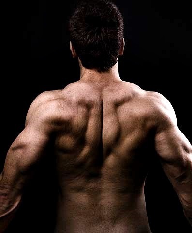 남자 외관상 가장 멋있어보이는 근육 부위는?? | 인스티즈