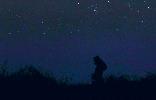 아무도 제작해주지 않았던 영화.JPG | 인스티즈