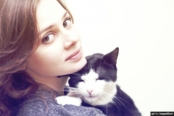 반려묘가 당신을 사랑하고 있다는 9가지 신호 | 인스티즈