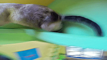 놀이터 | 인스티즈