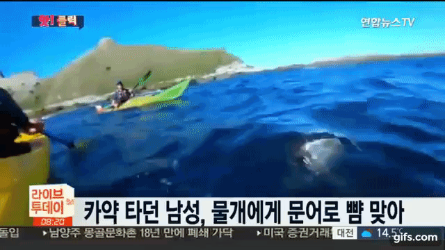 한국에 김치싸대기가 있다면 외국엔... | 인스티즈