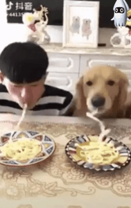 손 안대고 면 먹기 대회 | 인스티즈