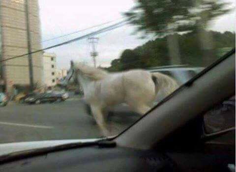 ??? : ㅈ됐다 경마2시까지인데 | 인스티즈