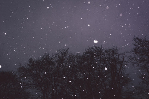  너에게 애인이 생겼다는 소식을 우연히 들었다 | 인스티즈