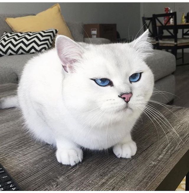 알 수 없는 표정 | 인스티즈