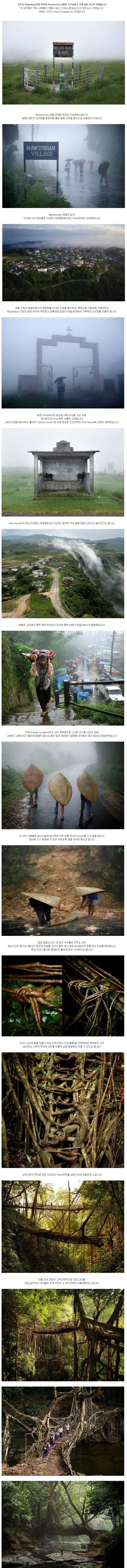 세상에서 가장 습한 마을 | 인스티즈