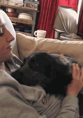 커여운 댕댕이들 움짤 | 인스티즈