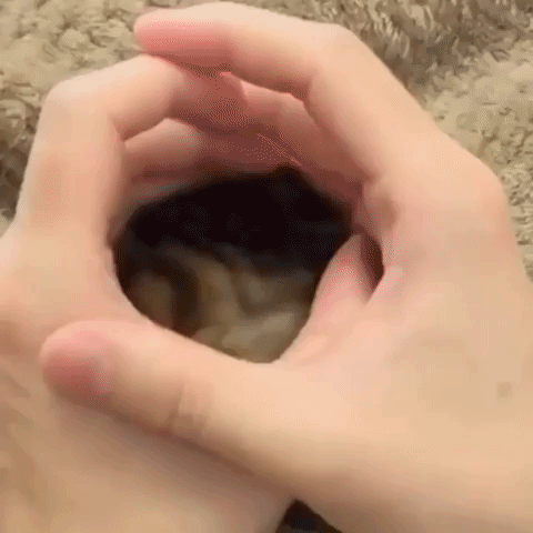 ???:나는 토끼다옹 | 인스티즈