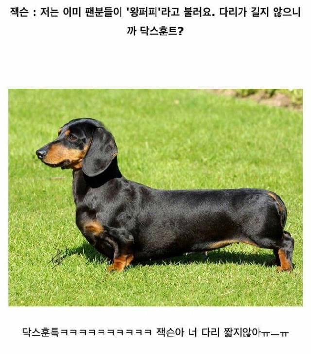 흔한_아이돌의_단체_난독증.jyp | 인스티즈