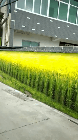 끝까지 봐야 하는 짤.... | 인스티즈