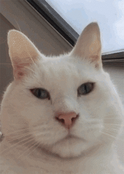 ???:나는 토끼다옹 | 인스티즈