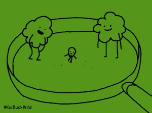 팝콘이 만들어지는 과정 | 인스티즈