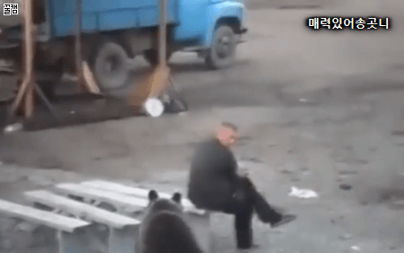 곰과 마주쳤을때 불곰국형님의 대처법.gif | 인스티즈