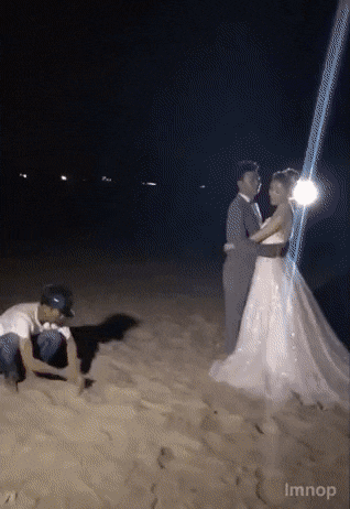 웨딩사진 전문가.gif | 인스티즈