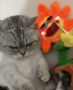 고영이 구름☁️ | 인스티즈