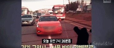 구급차 따라다니는 택시 gif | 인스티즈