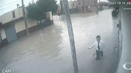 홍수 때 전봇대 만지면 안 되는 이유.gif | 인스티즈