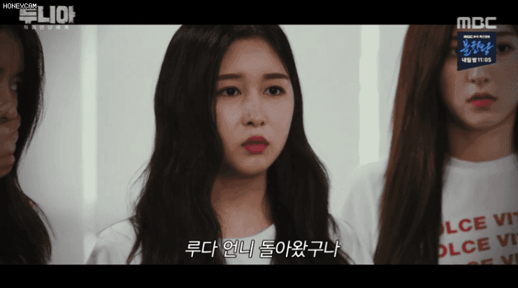 [움짤] 두니아 해바라기패러디ㅋㅋㅋㅋㅋㅋ | 인스티즈