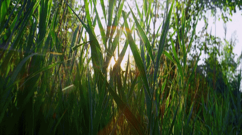 편안한 분위기의 시골 이미지들 | 인스티즈