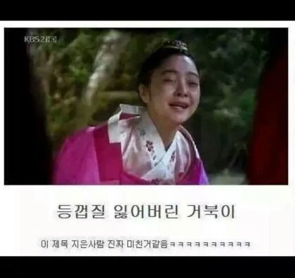 기자들 무리수모음 | 인스티즈