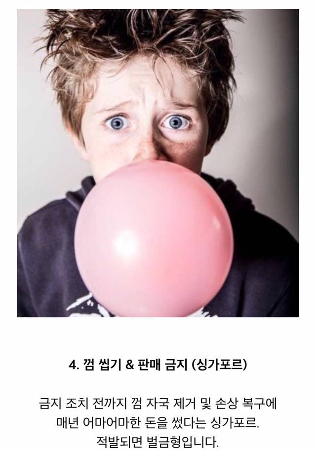 실제로 있는 각 나라의 금지법 | 인스티즈