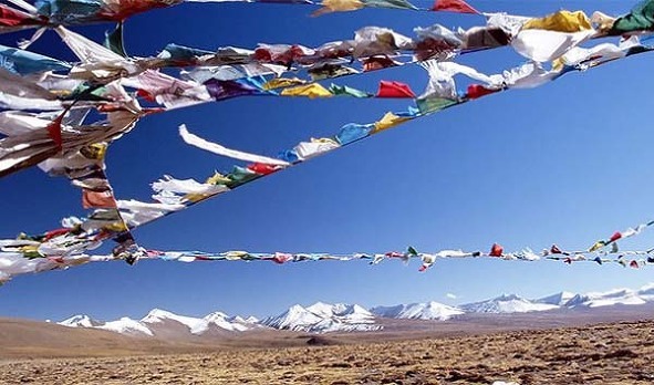 세계의 이상한 법 | 인스티즈